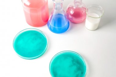 牛奶-內酰胺酶(-lactamase)ELISA試劑盒